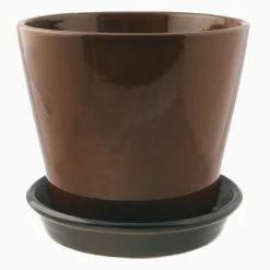 Blomkruka grön