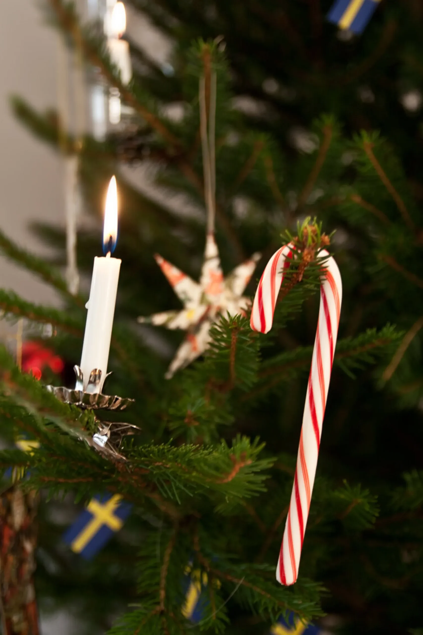 Julgransljus röda
