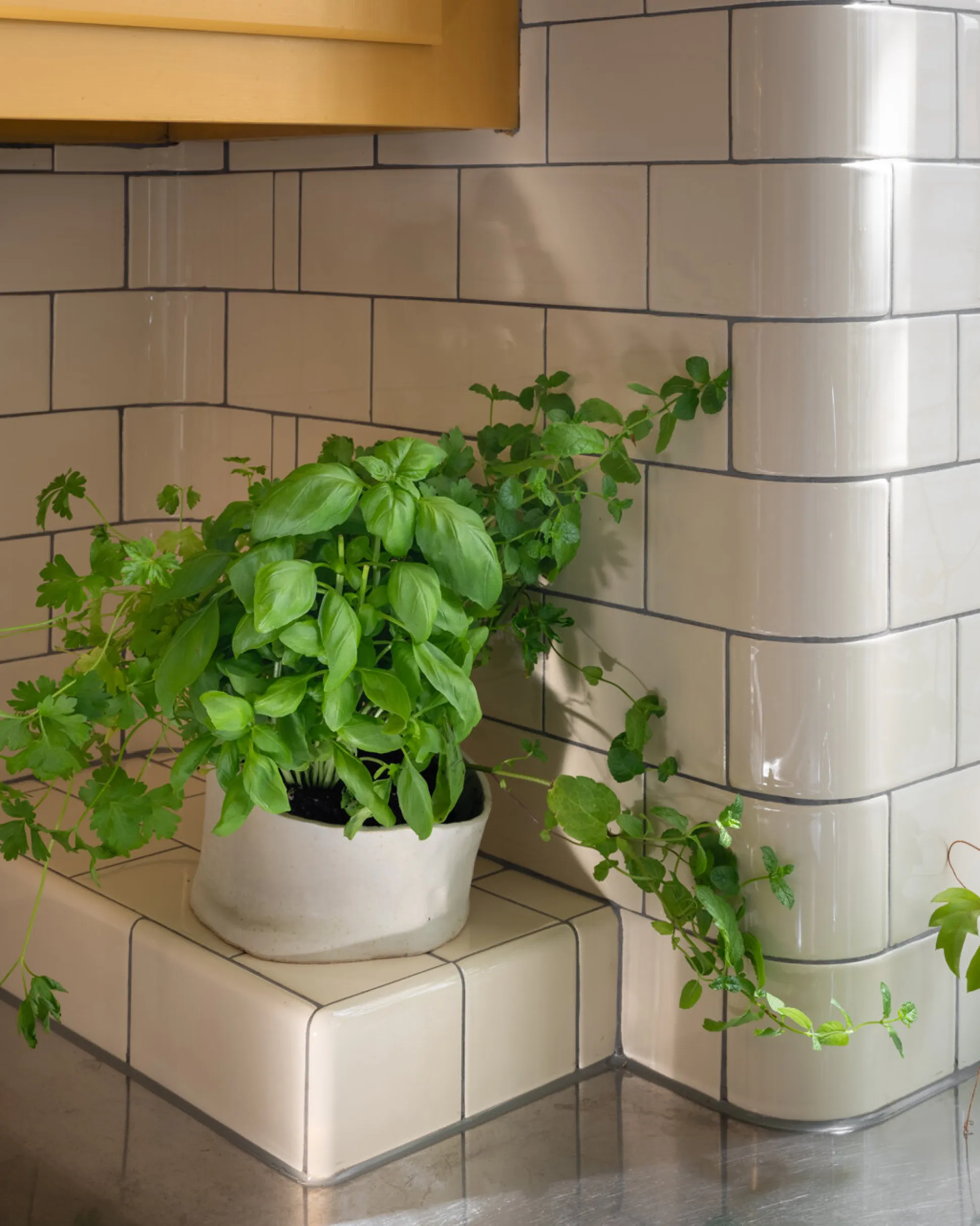 Kakel H&E Smith Subway Half Tile 15x7,5 cm Magnolia