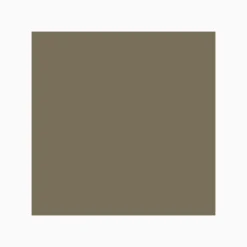 Klinker Victorian Floor Tiles kvadrat 10x10 cm Green