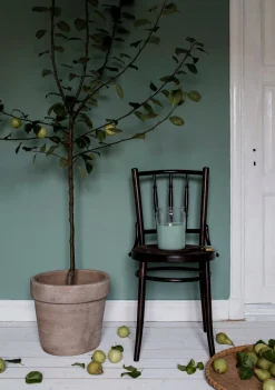 Väggfärg Auro Ostron - provburk