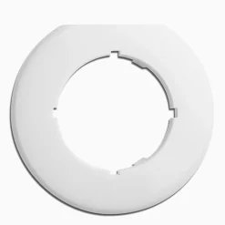 Vit ring, avslut